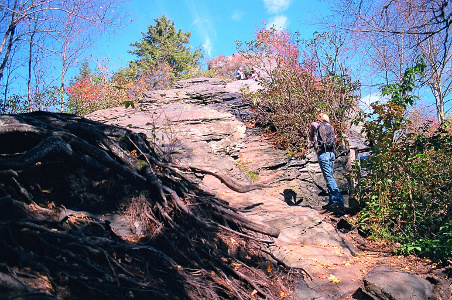 [A large rocky top inclining at a rather steep slant into the air. There are plenty of crevices to help climb the rock. All vegetation is at the sides and not on the rock.]